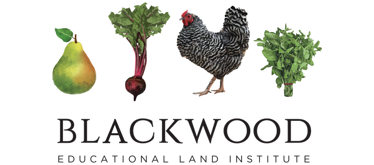 Blackwood Educational Land Institute