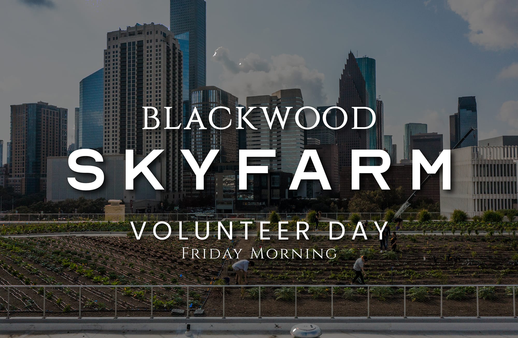 Skyfarm Volunteer Day