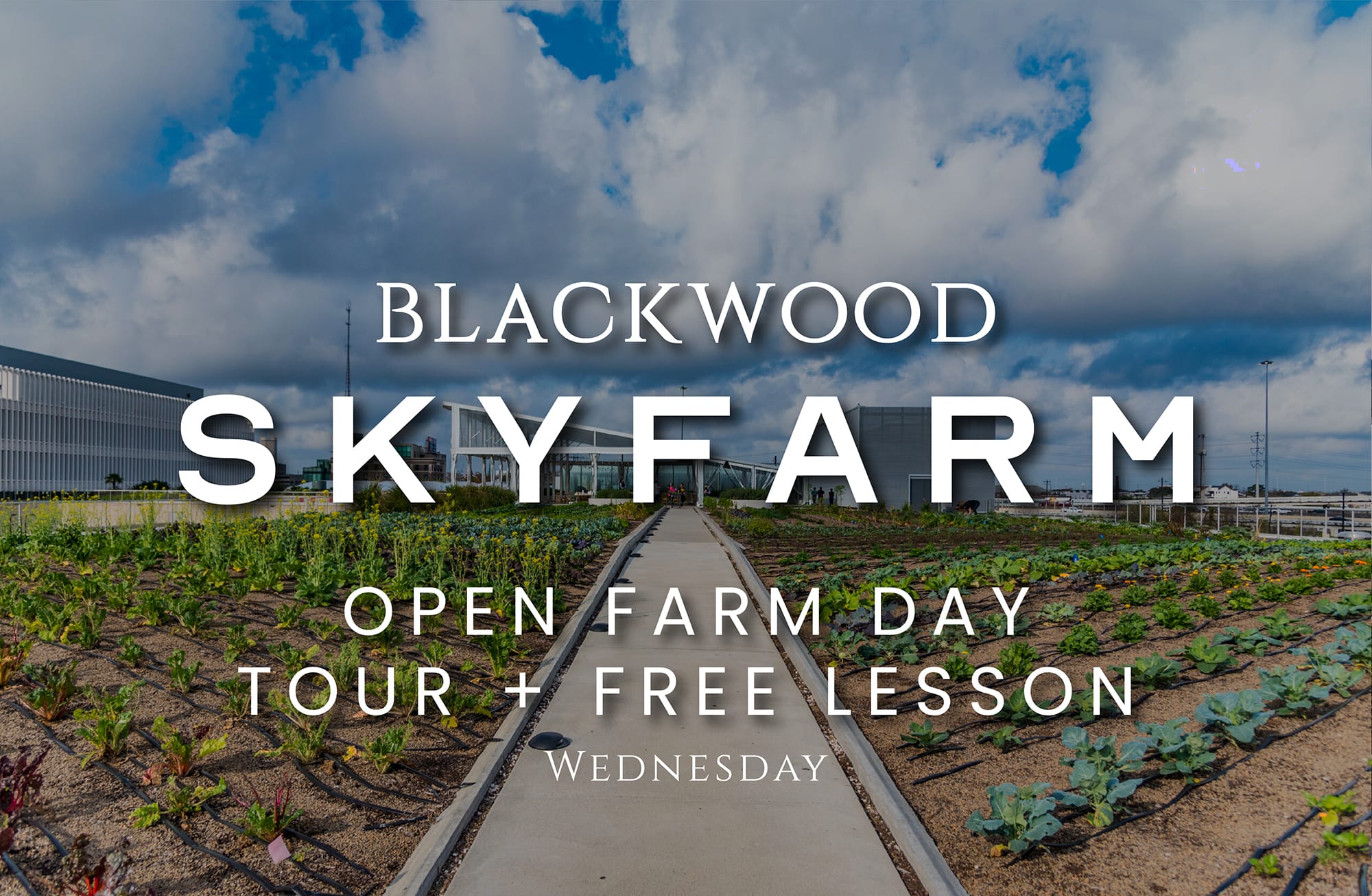 Skyfarm Open Farm Day