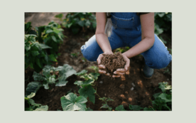 How We Grow: Regenerative Farming