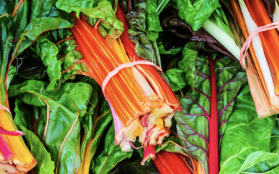 Seasonal Plant Lesson: Swiss Chard
