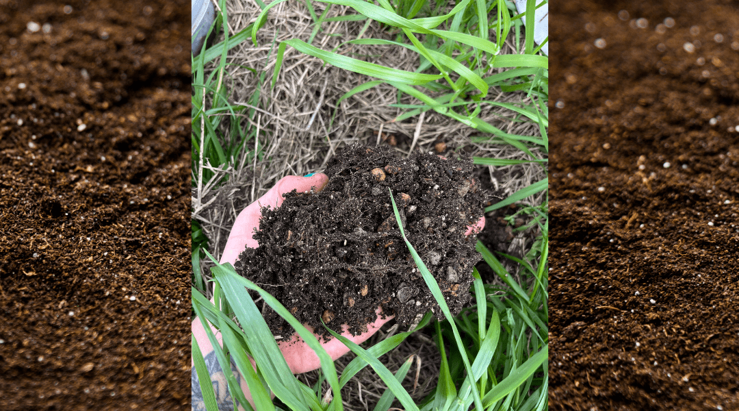 Farmer’s Perspective: February 2025