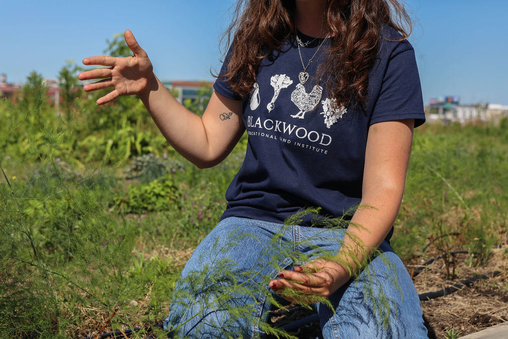 Tour at the Skyfarm, rooftop farm in downtown Houston