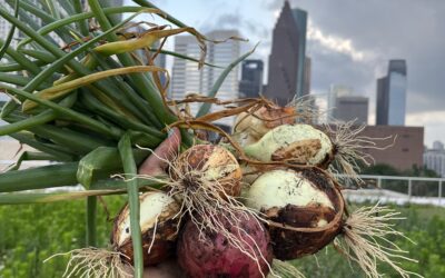 Fall on the Farm is Here- Here’s how to connect with us!